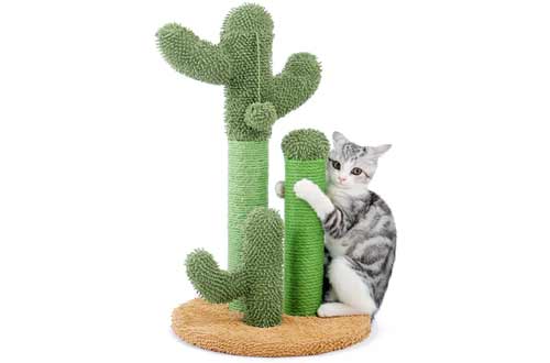 PAWZ Road Cat Scratching Post Cactus Cat Scratcher Featuring
