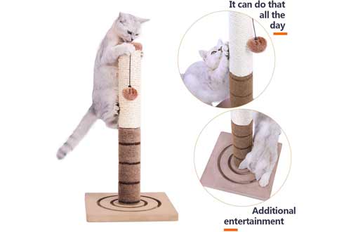 PAWZ Road Cat Scratching Post Cat Interactive Toys