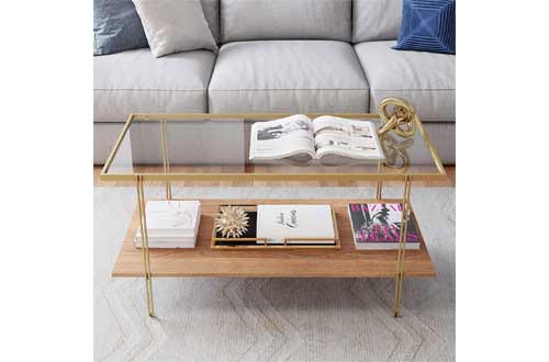 Nathan James Asher Mid-Century Rectangle Coffee Table Glass